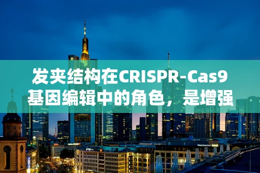 发夹结构在CRISPR-Cas9基因编辑中的角色，是增强还是陷阱？