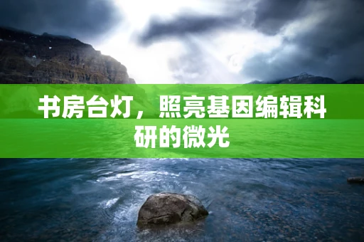 书房台灯，照亮基因编辑科研的微光
