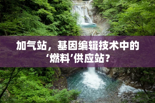 加气站，基因编辑技术中的‘燃料’供应站？