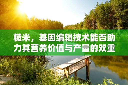糙米，基因编辑技术能否助力其营养价值与产量的双重提升？