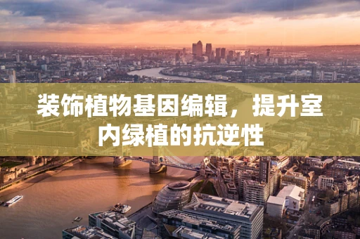 装饰植物基因编辑，提升室内绿植的抗逆性