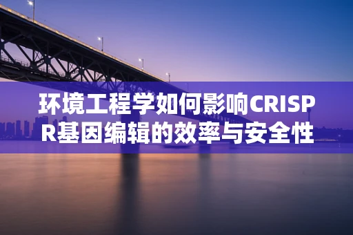 环境工程学如何影响CRISPR基因编辑的效率与安全性？