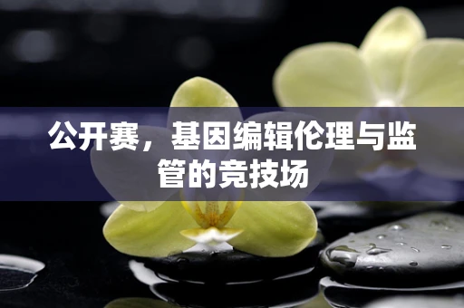 公开赛，基因编辑伦理与监管的竞技场