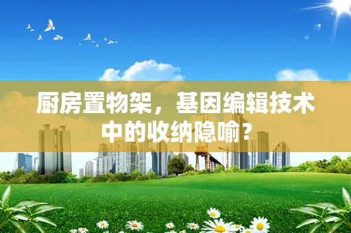 厨房置物架，基因编辑技术中的收纳隐喻？