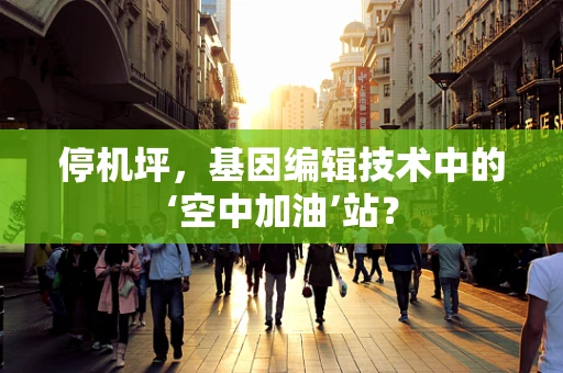 停机坪，基因编辑技术中的‘空中加油’站？
