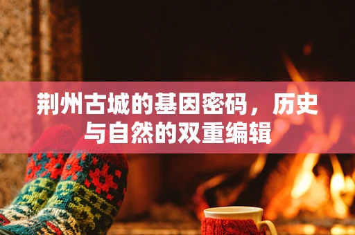 荆州古城的基因密码，历史与自然的双重编辑