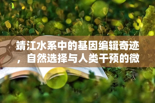 靖江水系中的基因编辑奇迹，自然选择与人类干预的微妙平衡？