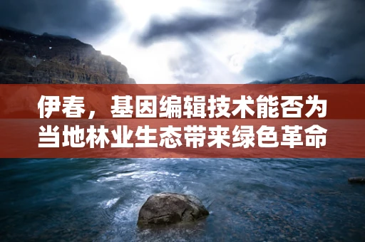 伊春，基因编辑技术能否为当地林业生态带来绿色革命？