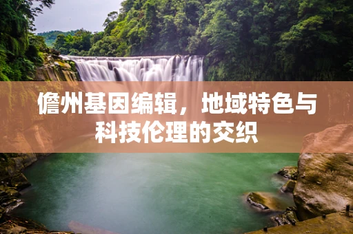 儋州基因编辑，地域特色与科技伦理的交织
