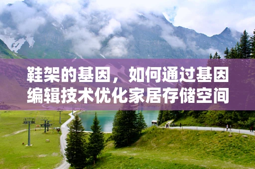 鞋架的基因，如何通过基因编辑技术优化家居存储空间？