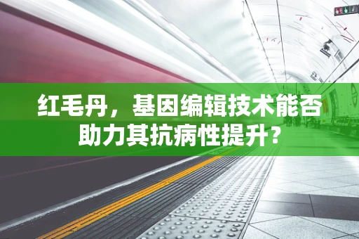 红毛丹，基因编辑技术能否助力其抗病性提升？