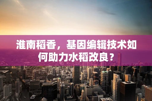 淮南稻香，基因编辑技术如何助力水稻改良？
