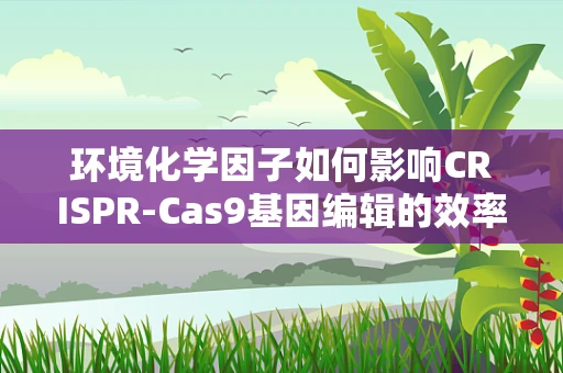 环境化学因子如何影响CRISPR-Cas9基因编辑的效率与安全性？