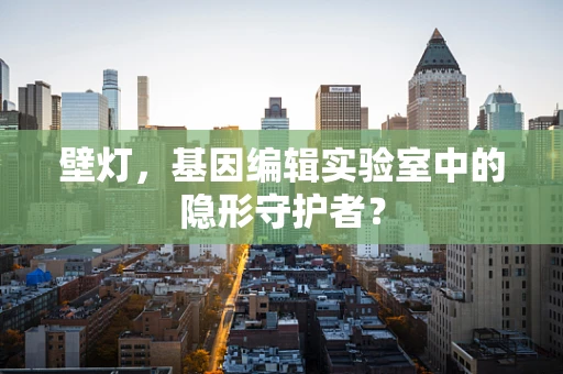 壁灯，基因编辑实验室中的隐形守护者？