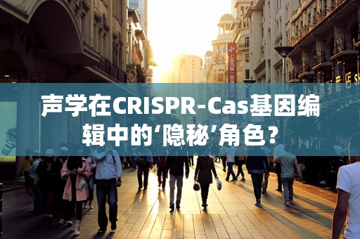 声学在CRISPR-Cas基因编辑中的‘隐秘’角色？
