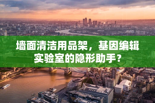 墙面清洁用品架，基因编辑实验室的隐形助手？