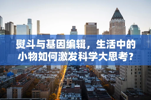 熨斗与基因编辑，生活中的小物如何激发科学大思考？