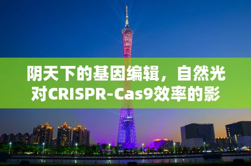 阴天下的基因编辑，自然光对CRISPR-Cas9效率的影响探究