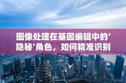 图像处理在基因编辑中的‘隐秘’角色，如何精准识别并分析胚胎细胞？