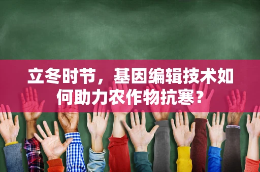 立冬时节，基因编辑技术如何助力农作物抗寒？