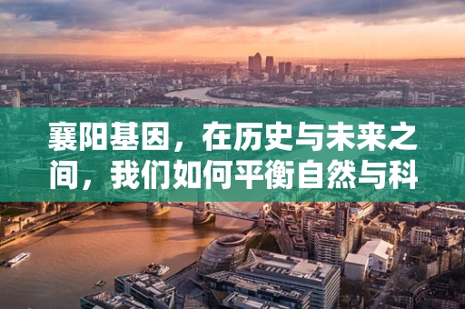 襄阳基因，在历史与未来之间，我们如何平衡自然与科技？