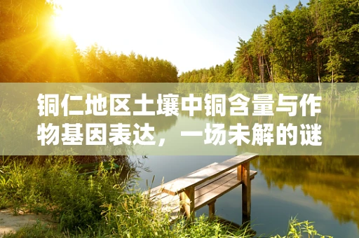 铜仁地区土壤中铜含量与作物基因表达，一场未解的谜题