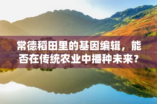 常德稻田里的基因编辑，能否在传统农业中播种未来？