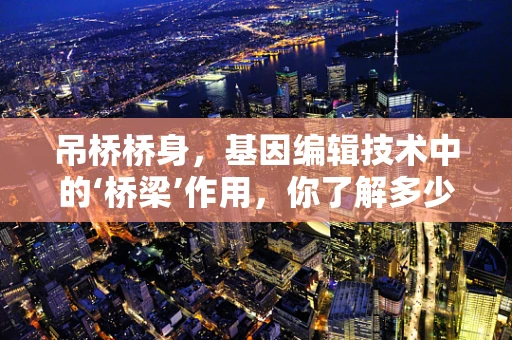 吊桥桥身，基因编辑技术中的‘桥梁’作用，你了解多少？