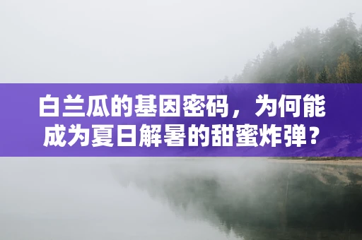 白兰瓜的基因密码，为何能成为夏日解暑的甜蜜炸弹？