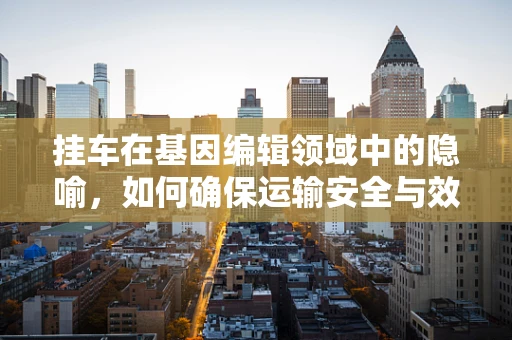 挂车在基因编辑领域中的隐喻，如何确保运输安全与效率？
