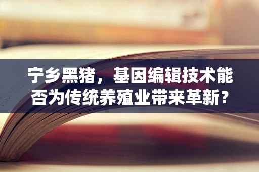 宁乡黑猪，基因编辑技术能否为传统养殖业带来革新？