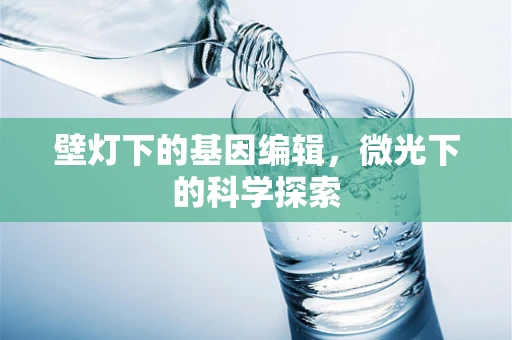 壁灯下的基因编辑，微光下的科学探索
