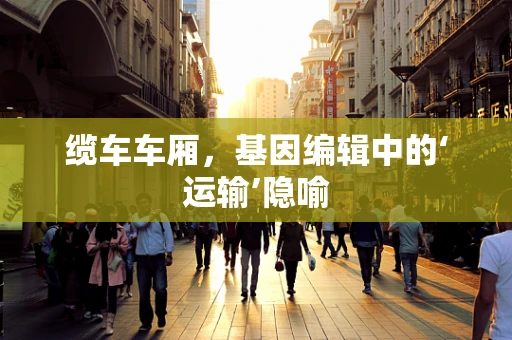 缆车车厢，基因编辑中的‘运输’隐喻