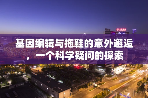 基因编辑与拖鞋的意外邂逅，一个科学疑问的探索