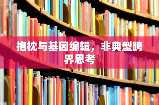 抱枕与基因编辑，非典型跨界思考