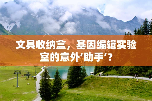 文具收纳盒，基因编辑实验室的意外‘助手’？