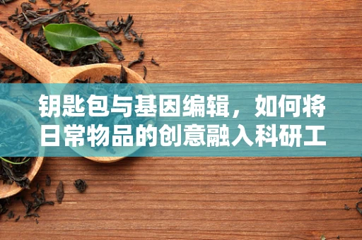钥匙包与基因编辑，如何将日常物品的创意融入科研工具的革新？