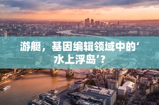 游艇，基因编辑领域中的‘水上浮岛’？
