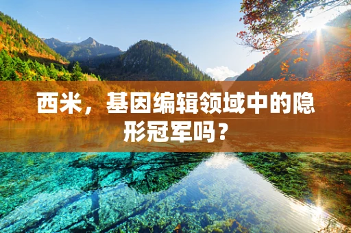 西米，基因编辑领域中的隐形冠军吗？