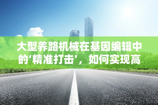 大型养路机械在基因编辑中的‘精准打击’，如何实现高效、精确的基因编辑？