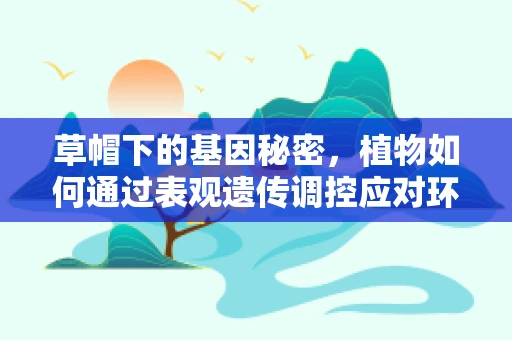 草帽下的基因秘密，植物如何通过表观遗传调控应对环境压力？