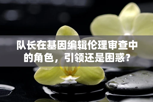 队长在基因编辑伦理审查中的角色，引领还是困惑？