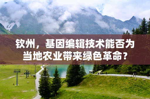 钦州，基因编辑技术能否为当地农业带来绿色革命？