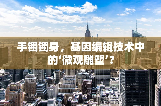 手镯镯身，基因编辑技术中的‘微观雕塑’？