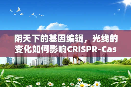 阴天下的基因编辑，光线的变化如何影响CRISPR-Cas9的效率？
