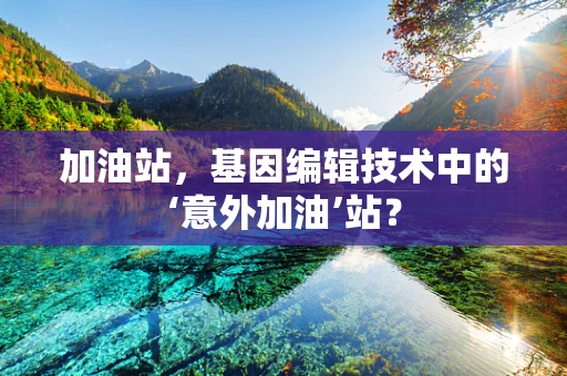 加油站，基因编辑技术中的‘意外加油’站？