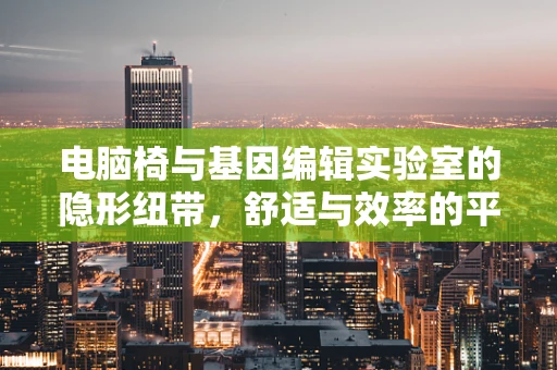 电脑椅与基因编辑实验室的隐形纽带，舒适与效率的平衡