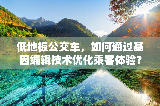 低地板公交车，如何通过基因编辑技术优化乘客体验？