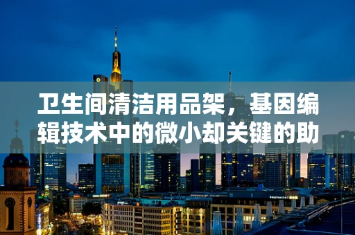 卫生间清洁用品架，基因编辑技术中的微小却关键的助手？