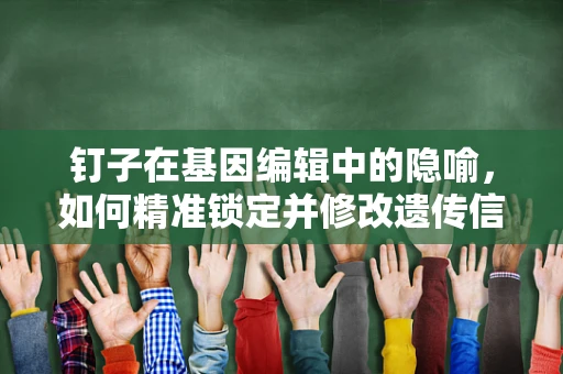 钉子在基因编辑中的隐喻，如何精准锁定并修改遗传信息？